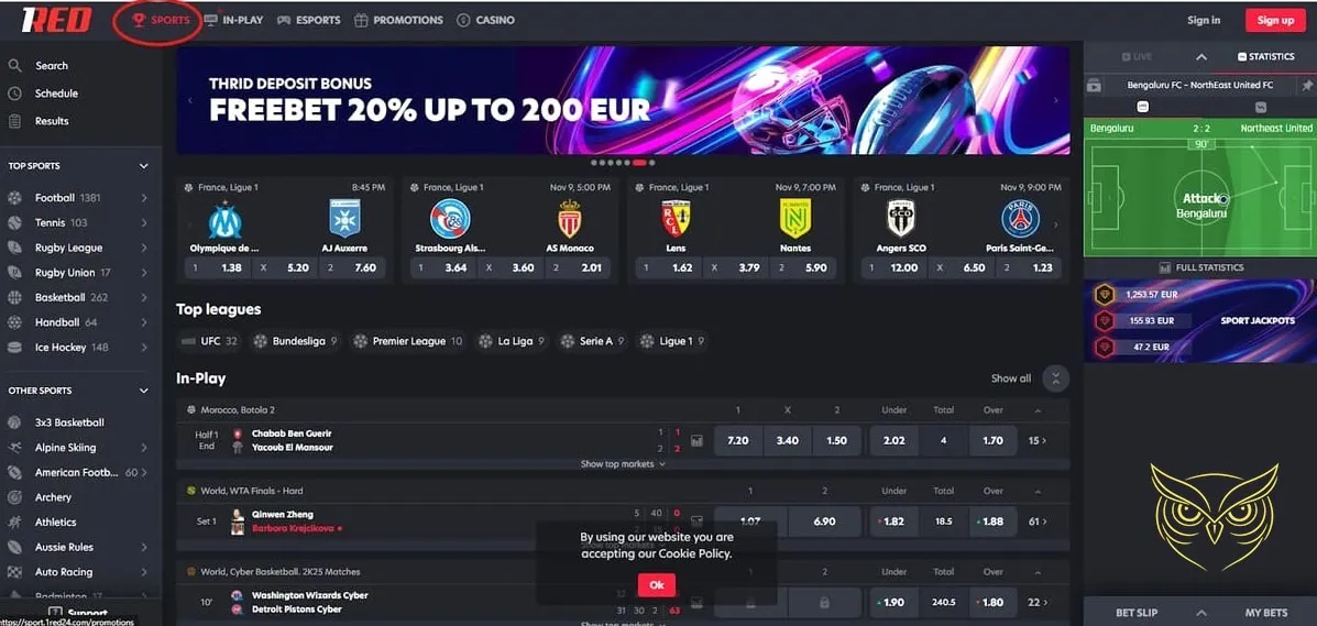 Icône des moyens de paiement casino 1RED