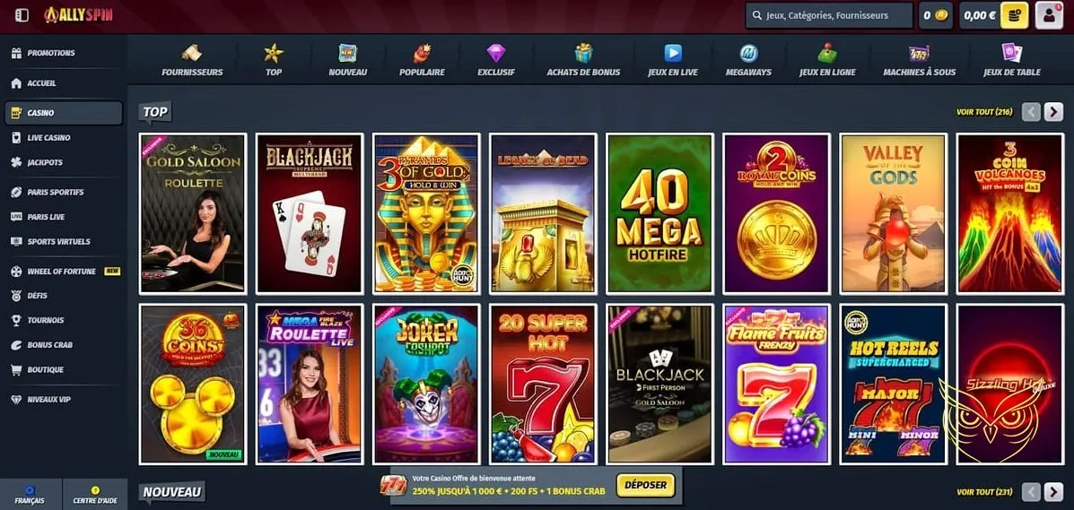 Icône de la section Dépôt AllySpin Casino