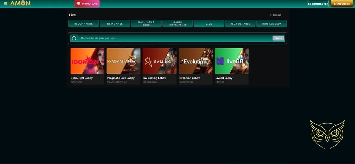 Icône de la section Dépôt Amon Casino