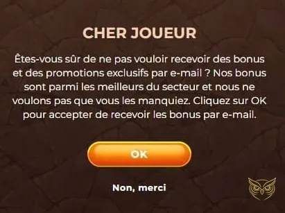 Capture d'écran des informations d'inscription AmunRa