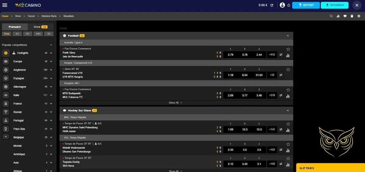 Icône de la section FAQ du casino Art