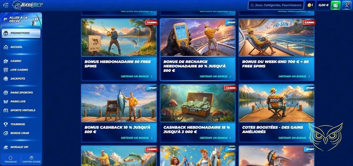 Page options de dépôt BassBet Casino