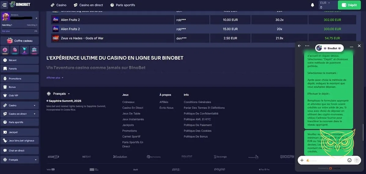 Icône des options de dépôt Binobet Casino