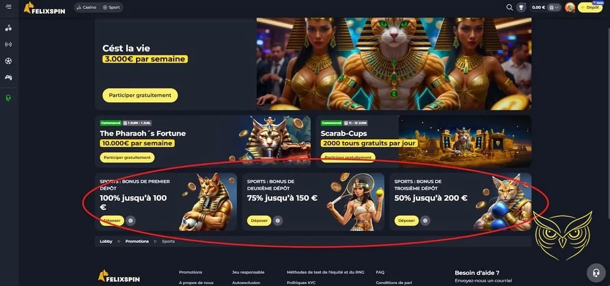 Icône de la catégorie mini-jeux FelixSpin.