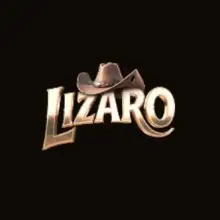 Lizaro Casino casino logo