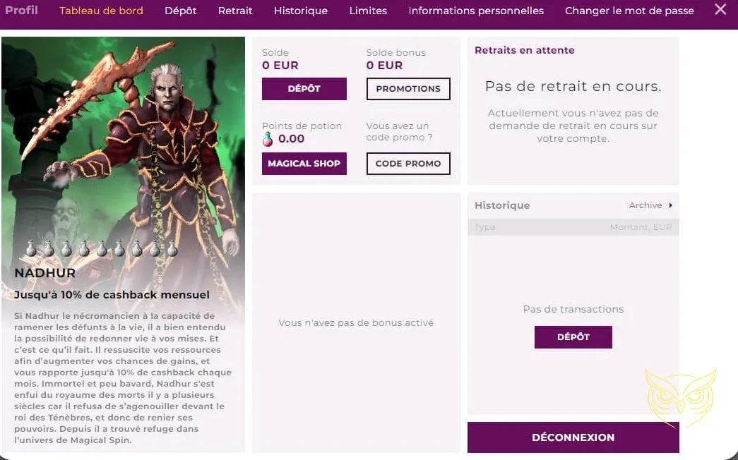 Fenêtre de saisie du code SMS Magical Spin