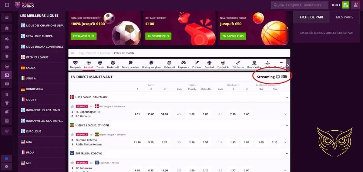 Icône des niveaux VIP Malina Casino