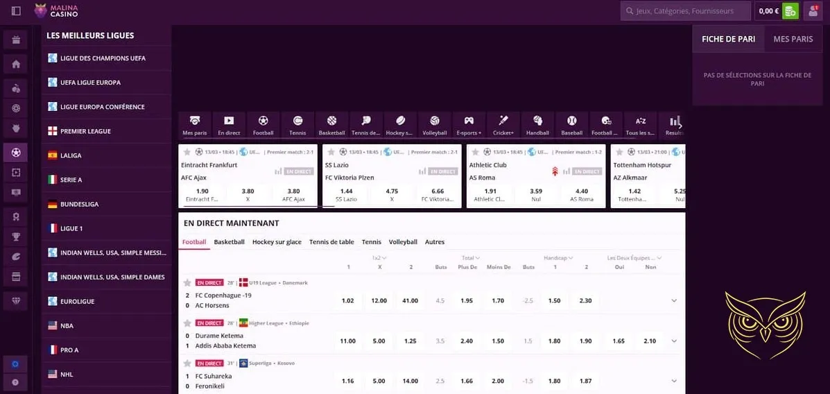 Icône pour effectuer un dépôt Malina Casino