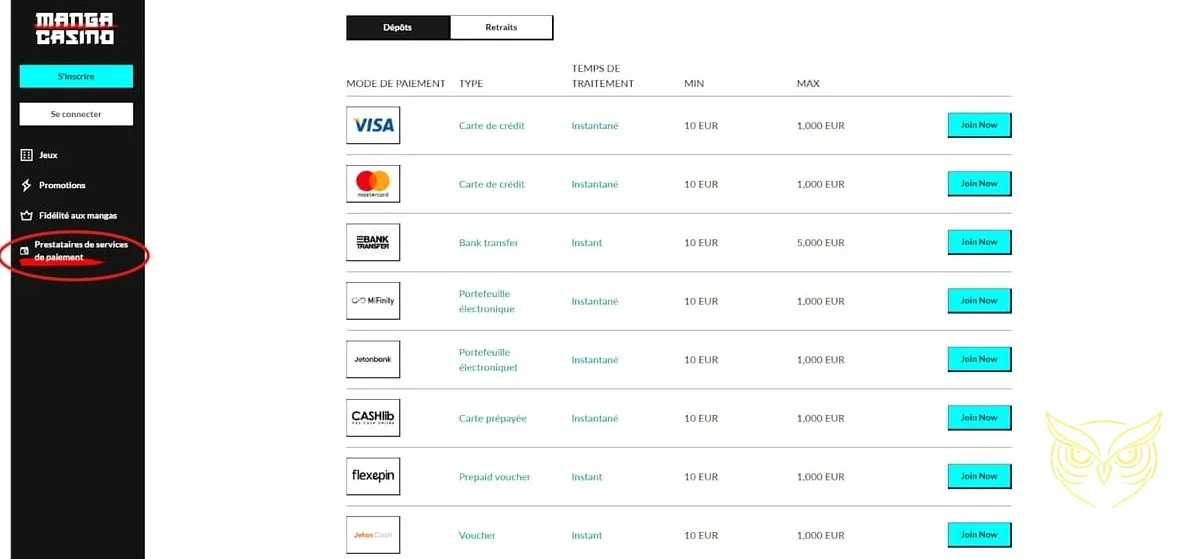 Capture d'écran d'une erreur d'application générique