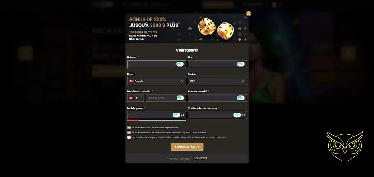 Section Casino Live de Mega Win