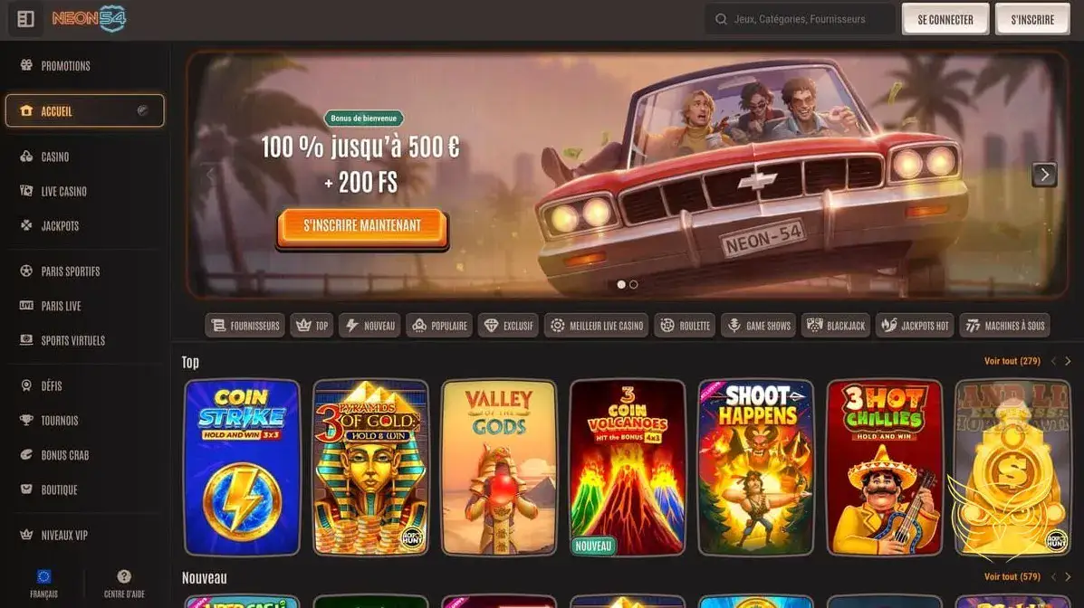 Logo officiel du casino Neon54