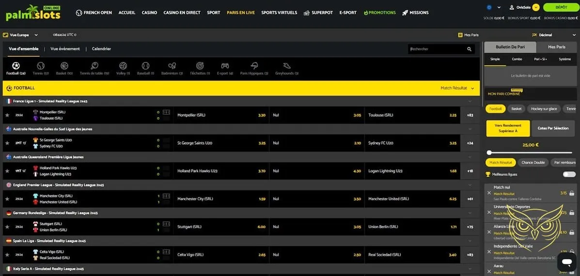 Miniature du jeu des vagues de Palm Slots Casino