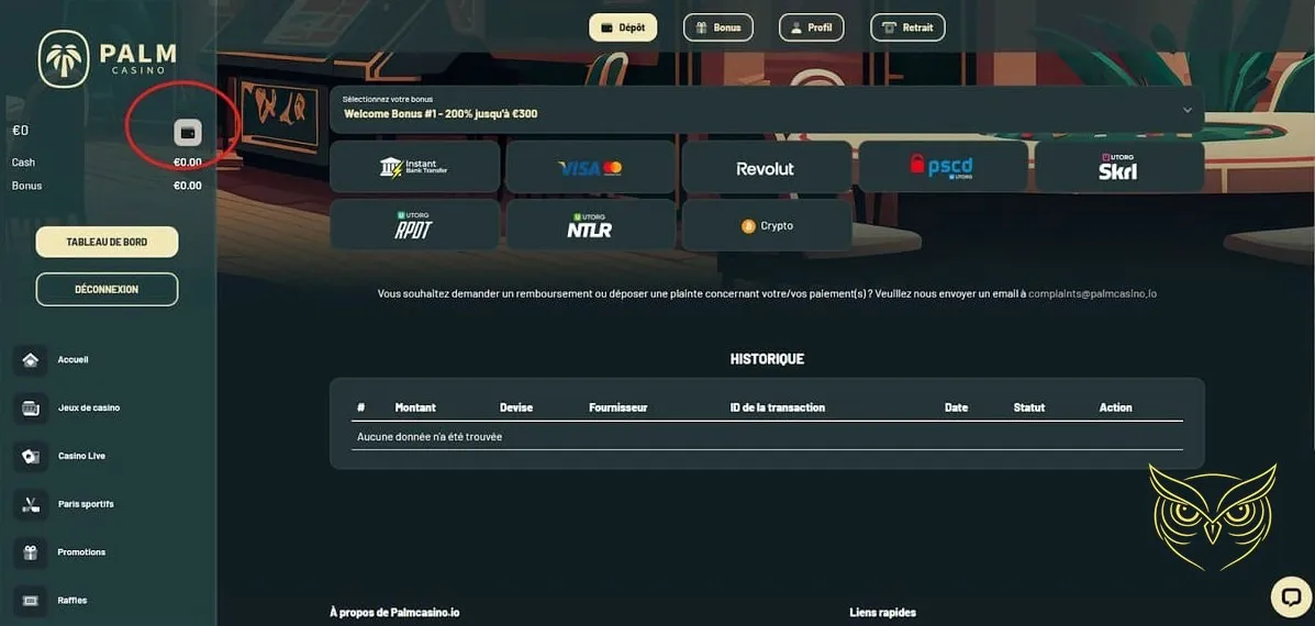 Section casino en direct du Palm Casino