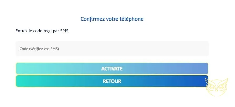 Écran de vérification de l'adresse email Prince Ali