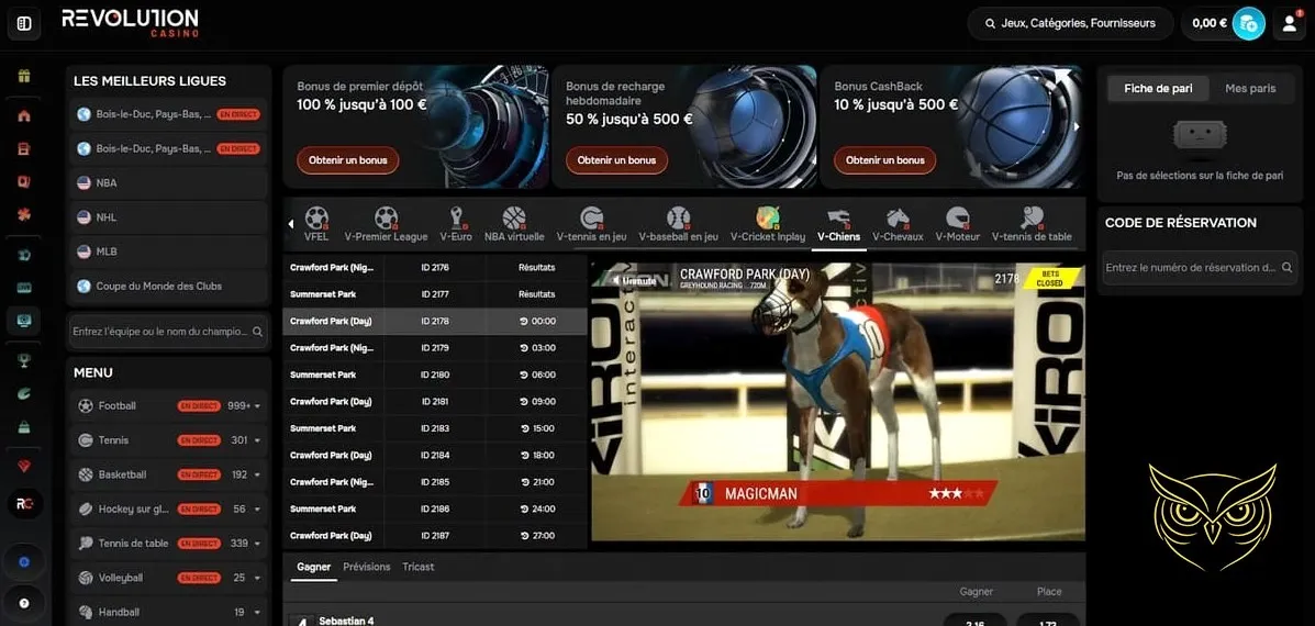 Description du bonus premier dépôt Revolution Casino.