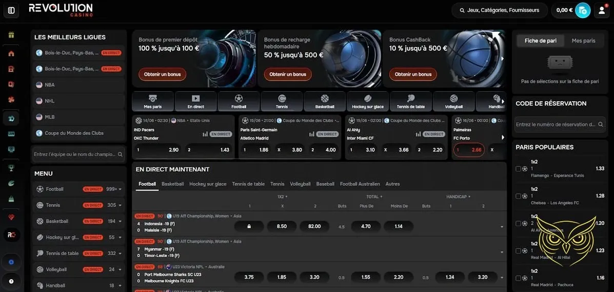 Interface des méthodes de dépôt Revolution Casino.