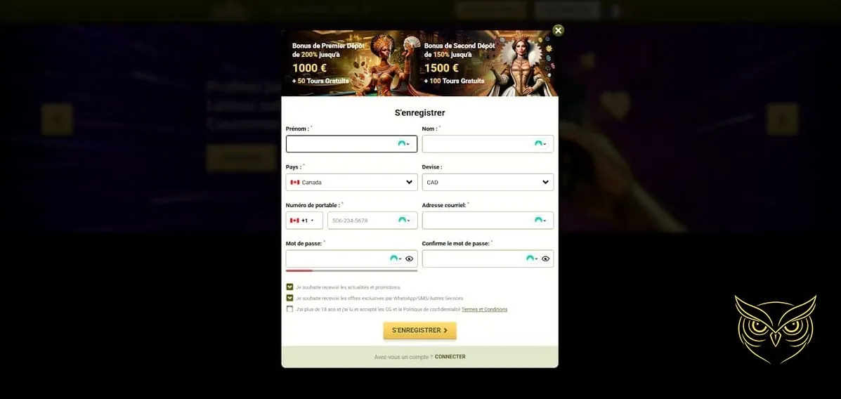 Interface des jeux de casino live Royal Vincit Casino