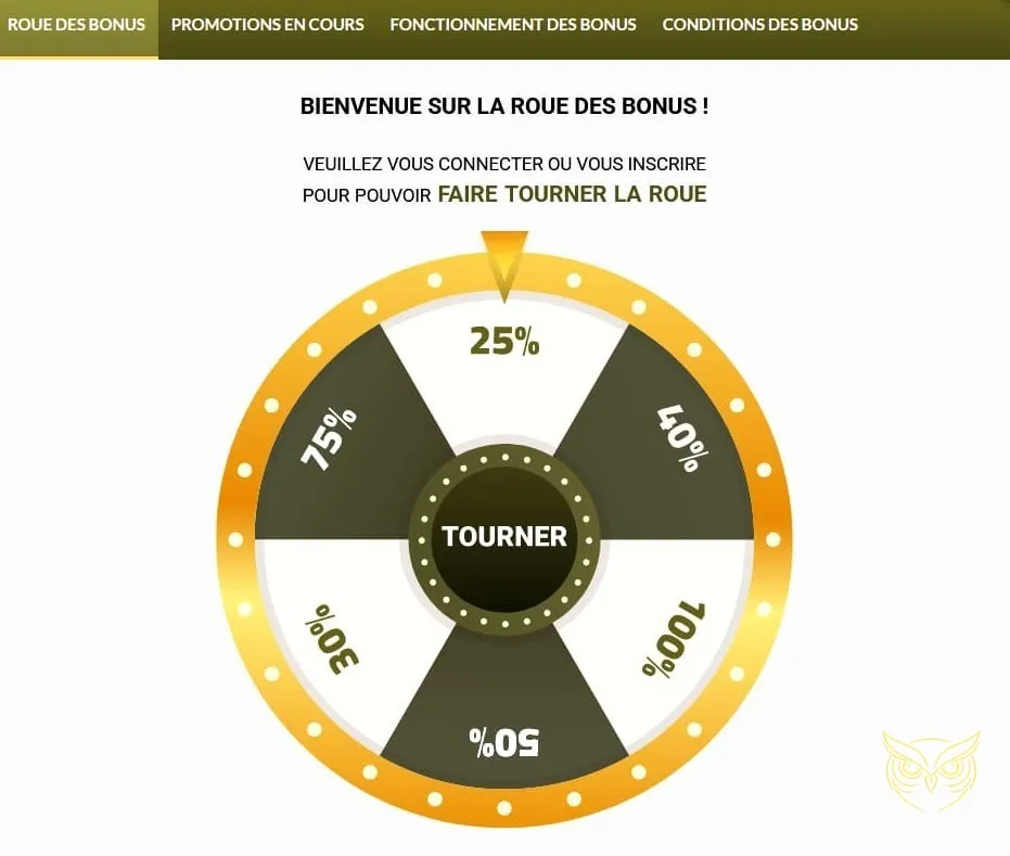 Méthodes de dépôt disponibles Royal Vincit Casino