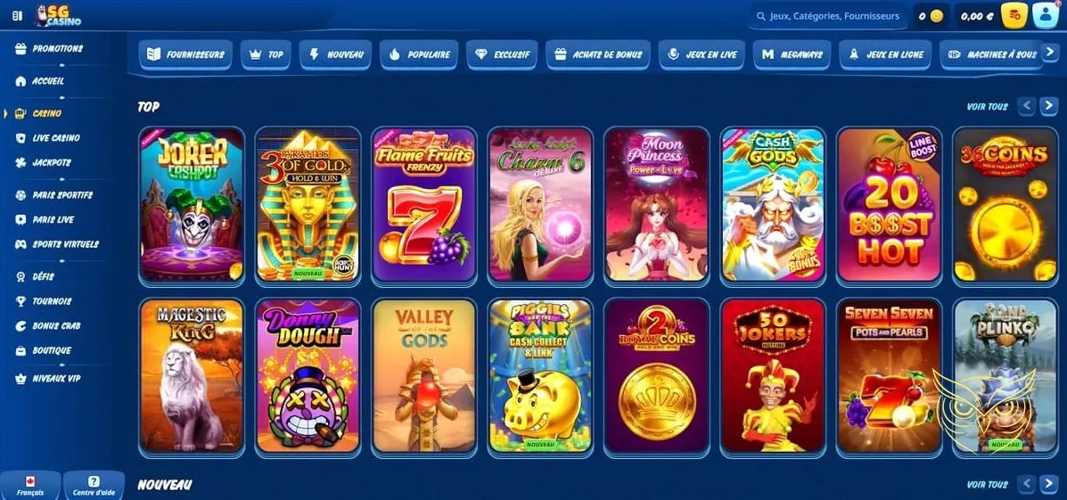 Icône des options de dépôts SG Casino