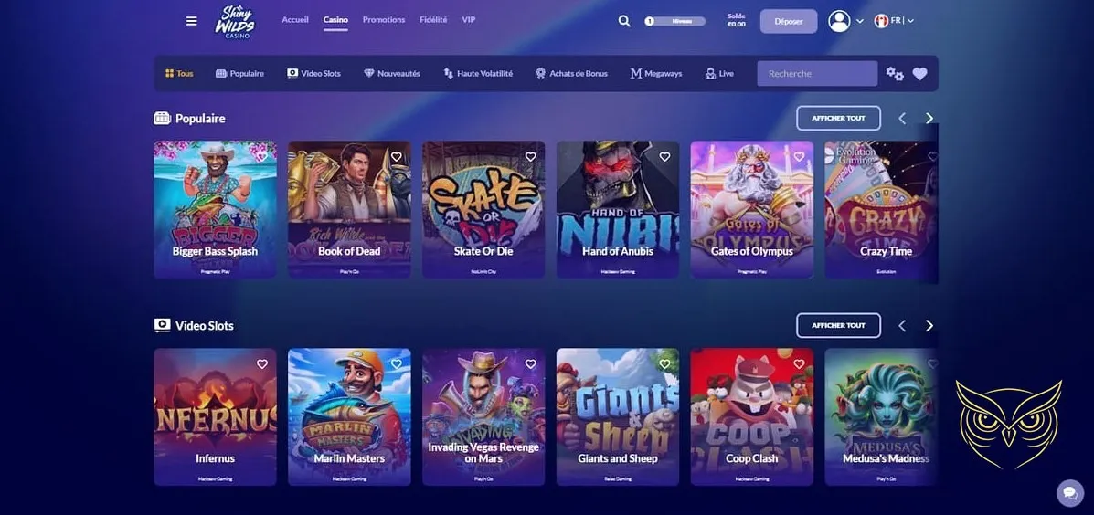 Icône des méthodes de dépôt Shiny Wilds Casino