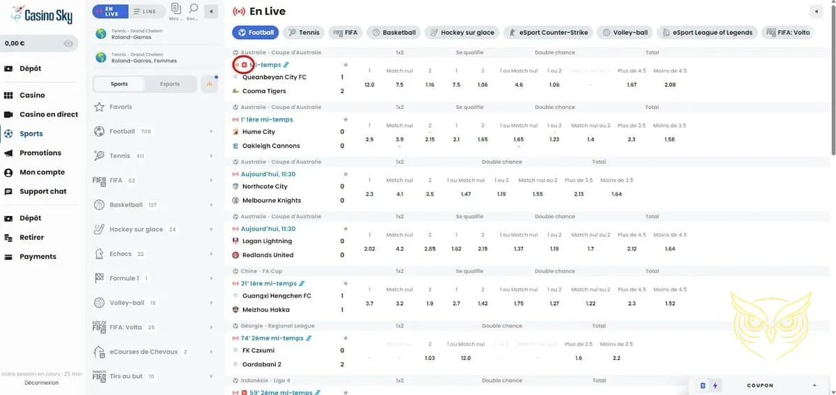 Icône des options de retrait CasinoSky Casino