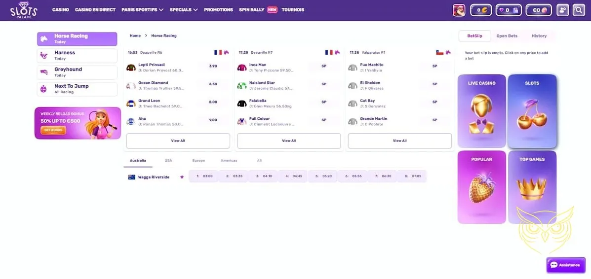 Icône de la boutique Slots Palace.