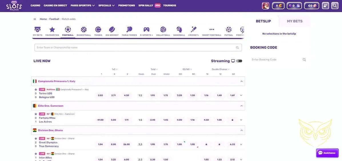 Icône du club VIP Slots Palace.