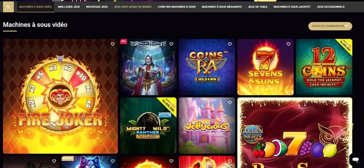 Capture d'écran d'une page d'erreur internet.