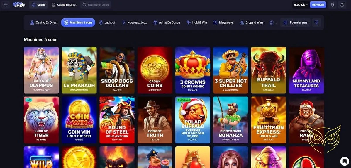 Détails du programme VIP SpinAura Casino.