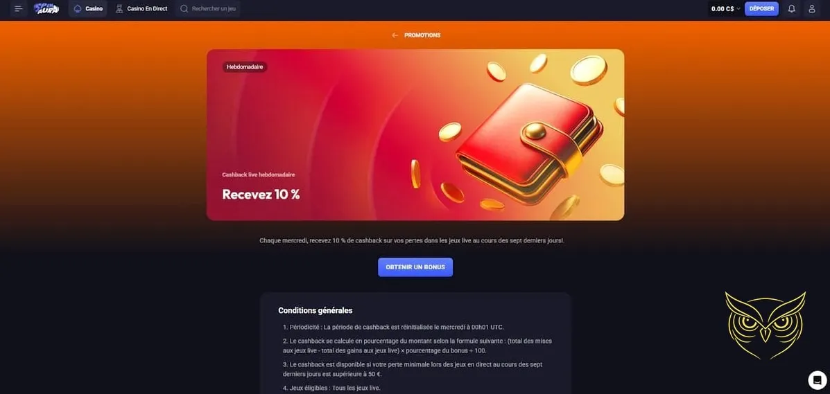 Bannière du casino en direct SpinAura Casino.