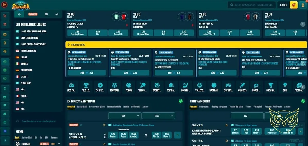 Icône des options de dépôt Spinanga Casino