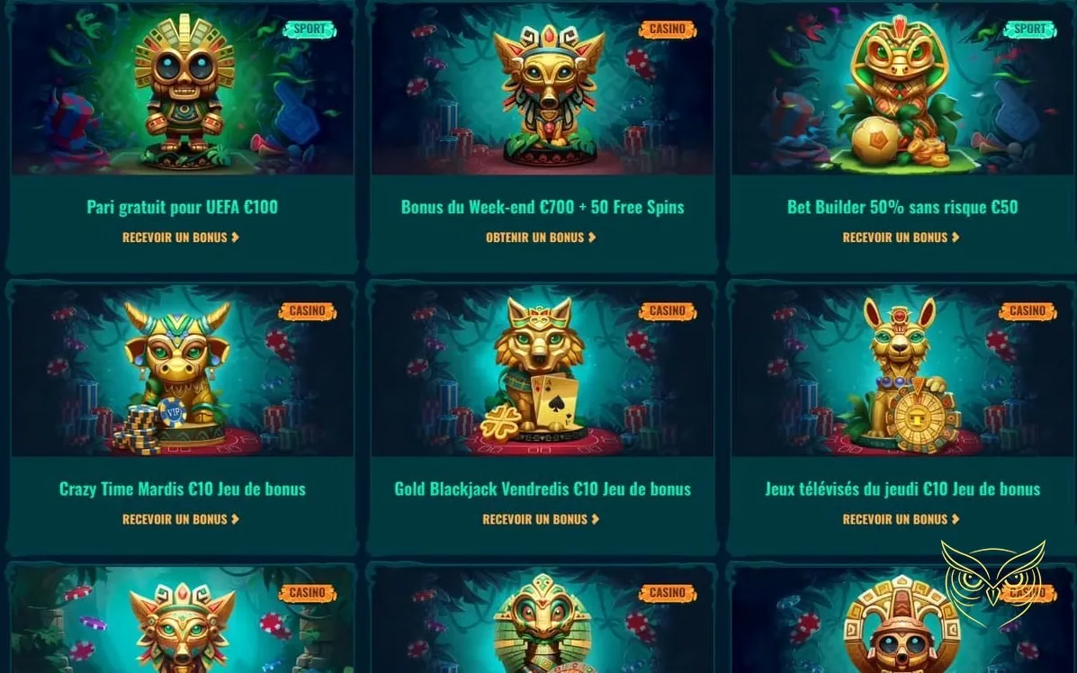 Interface des paris sportifs Spinanga