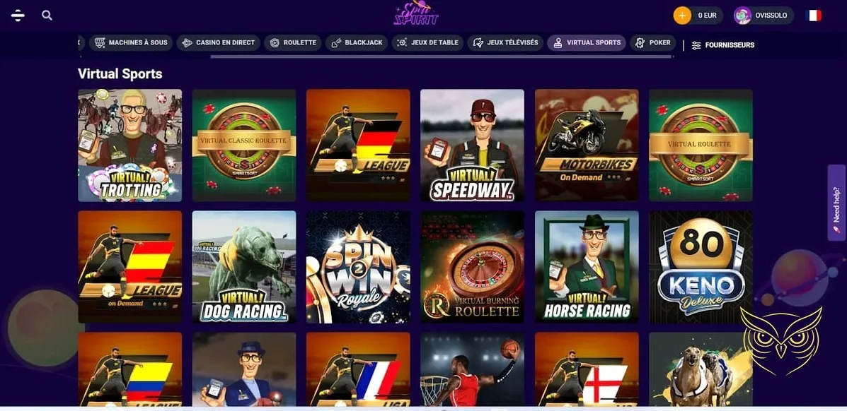 Capture d'écran du test chat support Spin Spirit