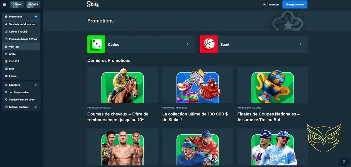 Page des options de dépôt et retrait Stake