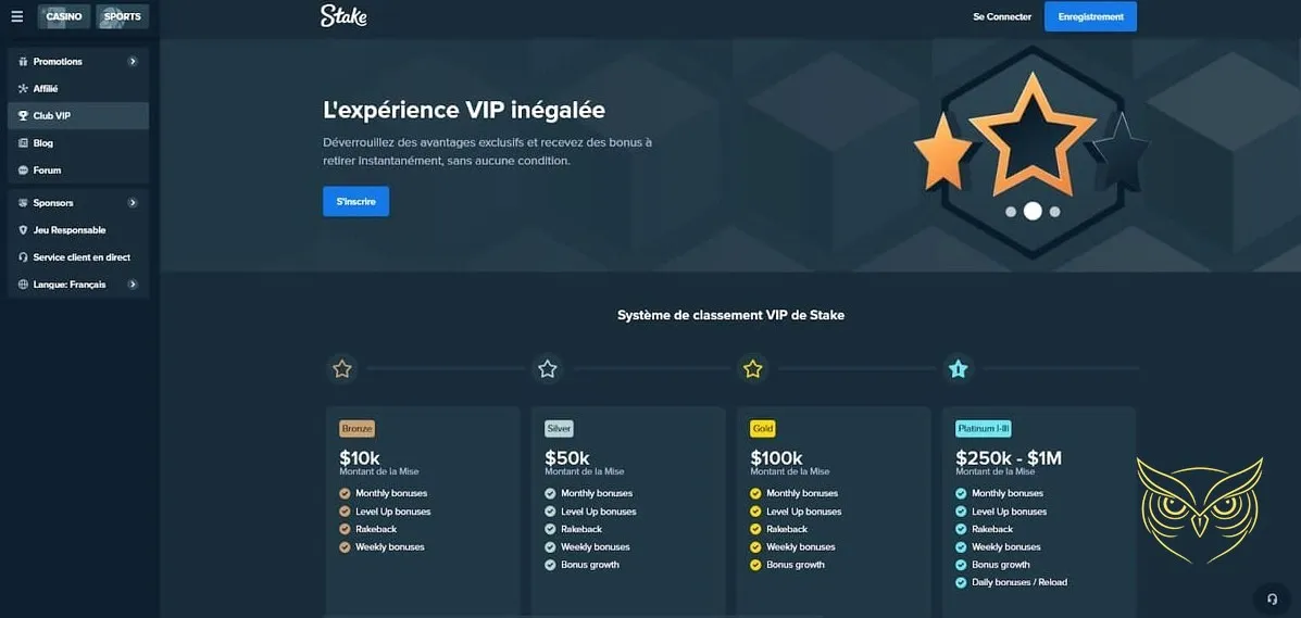 Description de l'expérience VIP Stake Casino