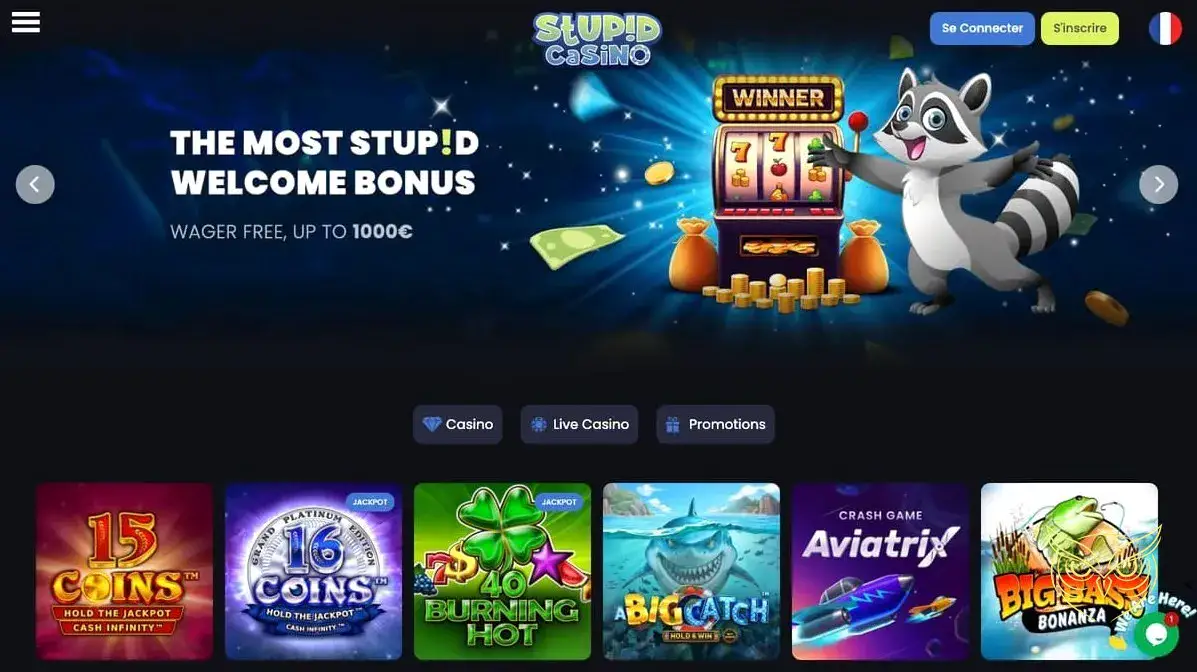 Logo officiel du casino Stupid Casino