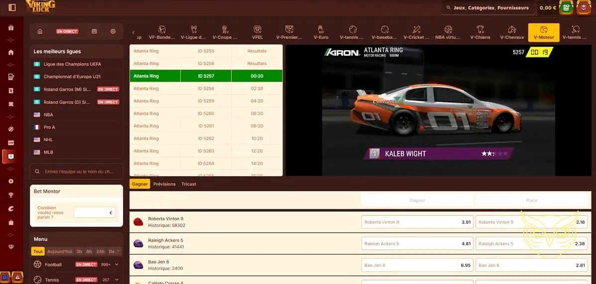 Icône de la section dépôts de fonds VikingLuck Casino.