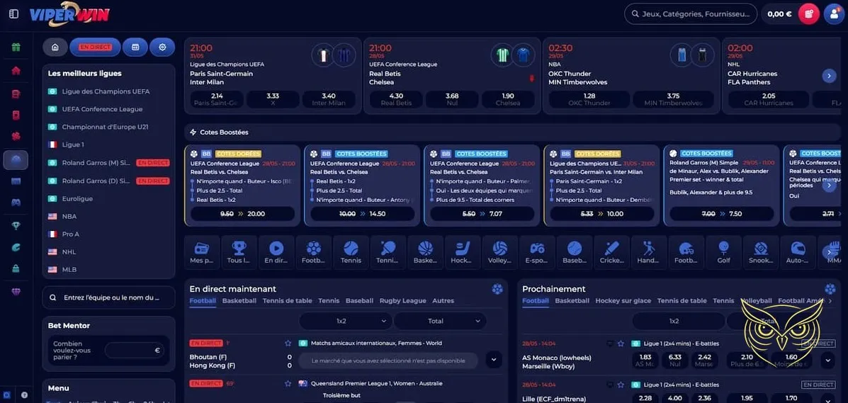 Interface pour effectuer un dépôt sur ViperWin Casino.