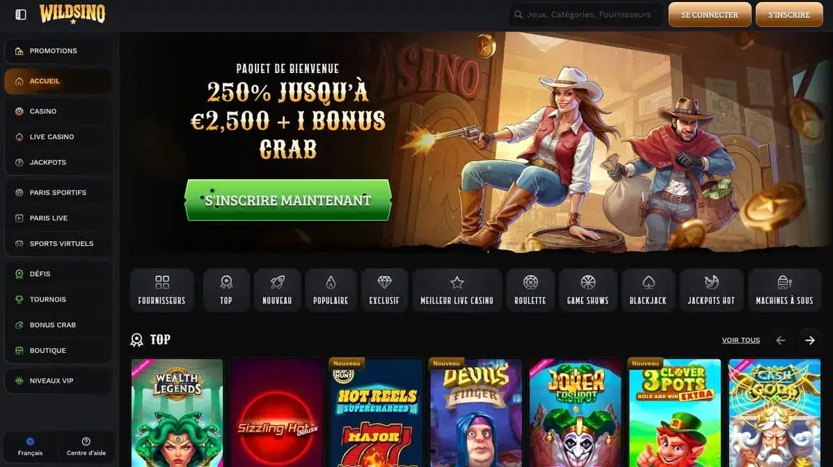 Logo officiel du casino Wildsino