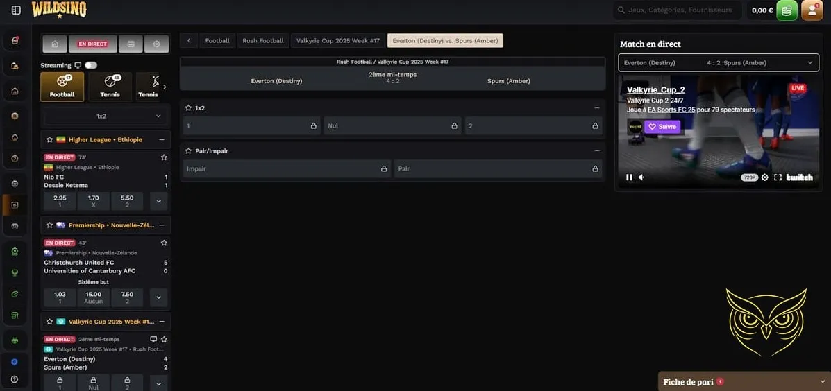 Section des défis quotidiens Wildsino Casino