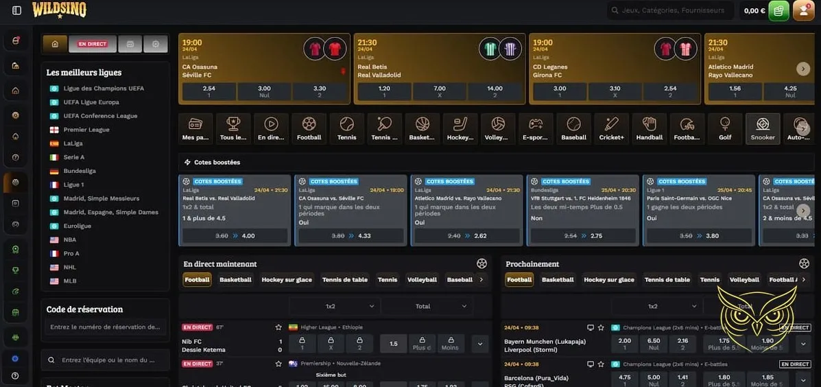 Interface de la boutique Wildsino Casino