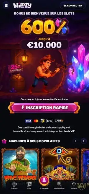 Icône de l'application mobile Wildzy Casino