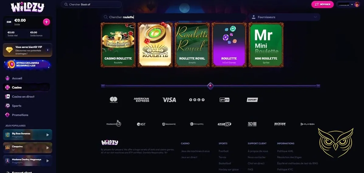 Section jeux de casino en direct Wildzy