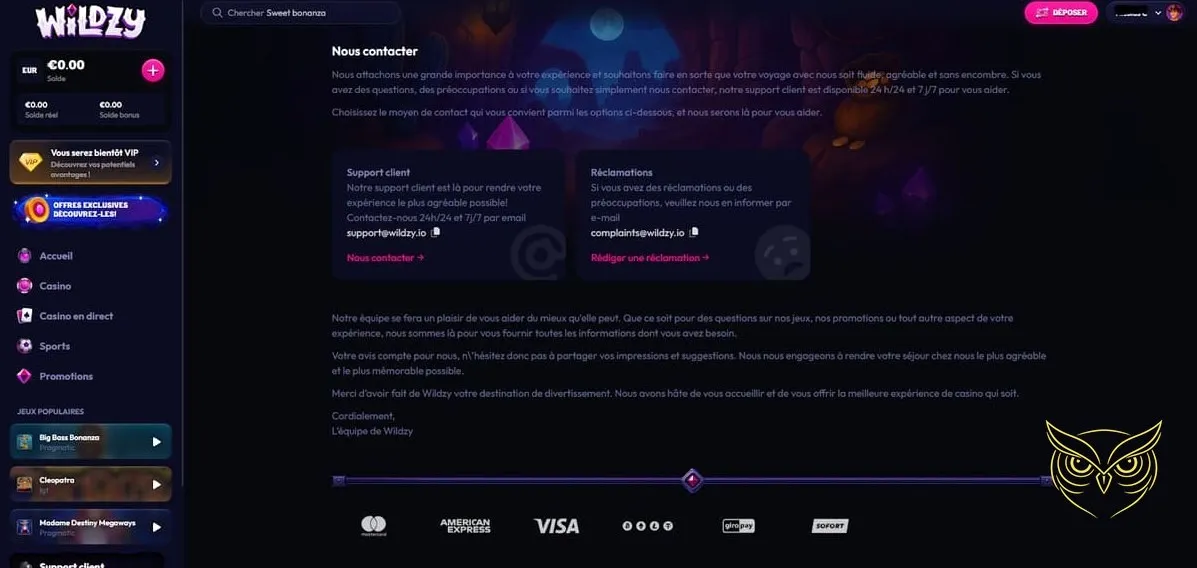 Page des méthodes de dépôt Wildzy Casino