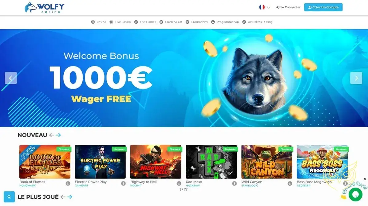 Logo officiel de Wolfy Casino.