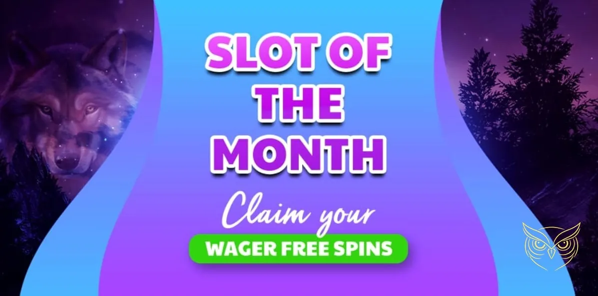 Programme de parrainage du casino Wolfy.