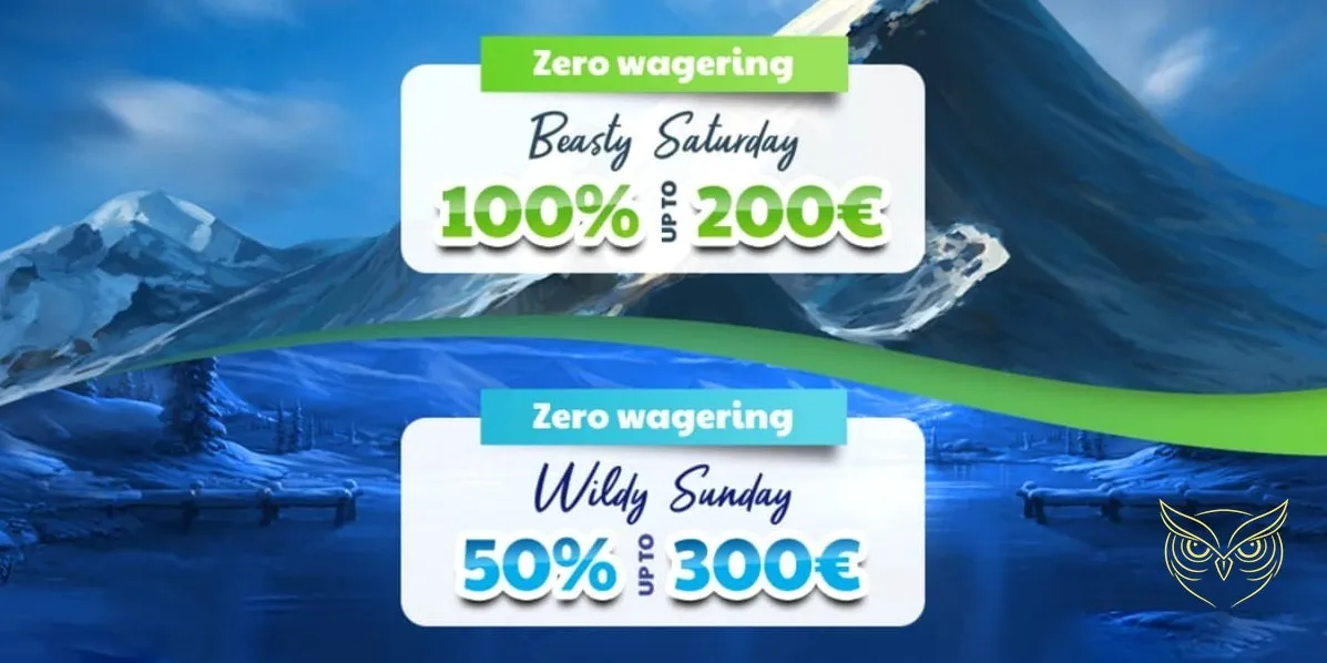 Page de dépôt sécurisé Wolfy Casino.