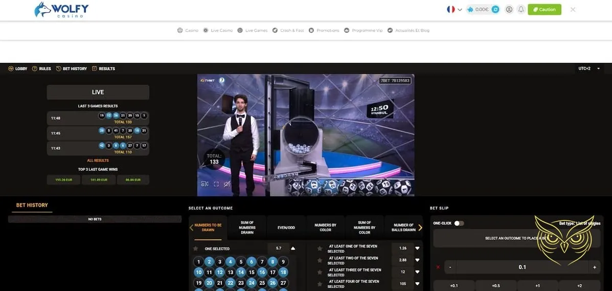 Section FAQ du casino Wolfy.