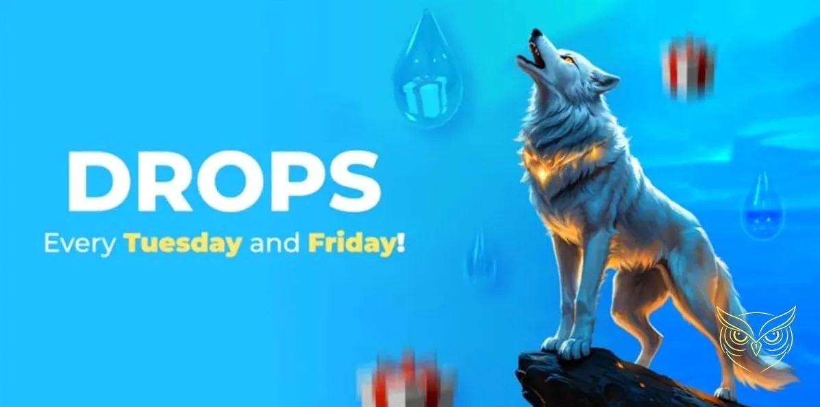 Capture d'écran des retransmissions vidéos Wolfy Casino.