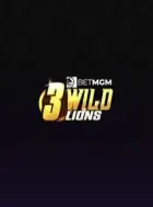 Jeu de slot 3 Wild Lions